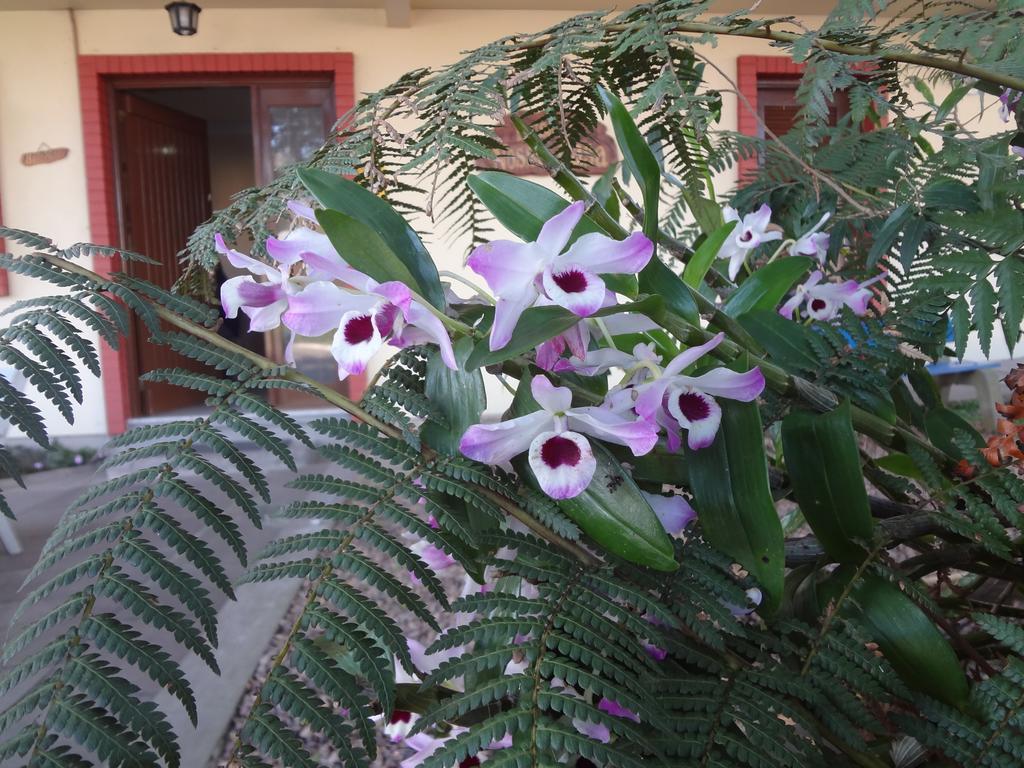 Pousada Floratta Nossa Casa Грамаду Екстериор снимка